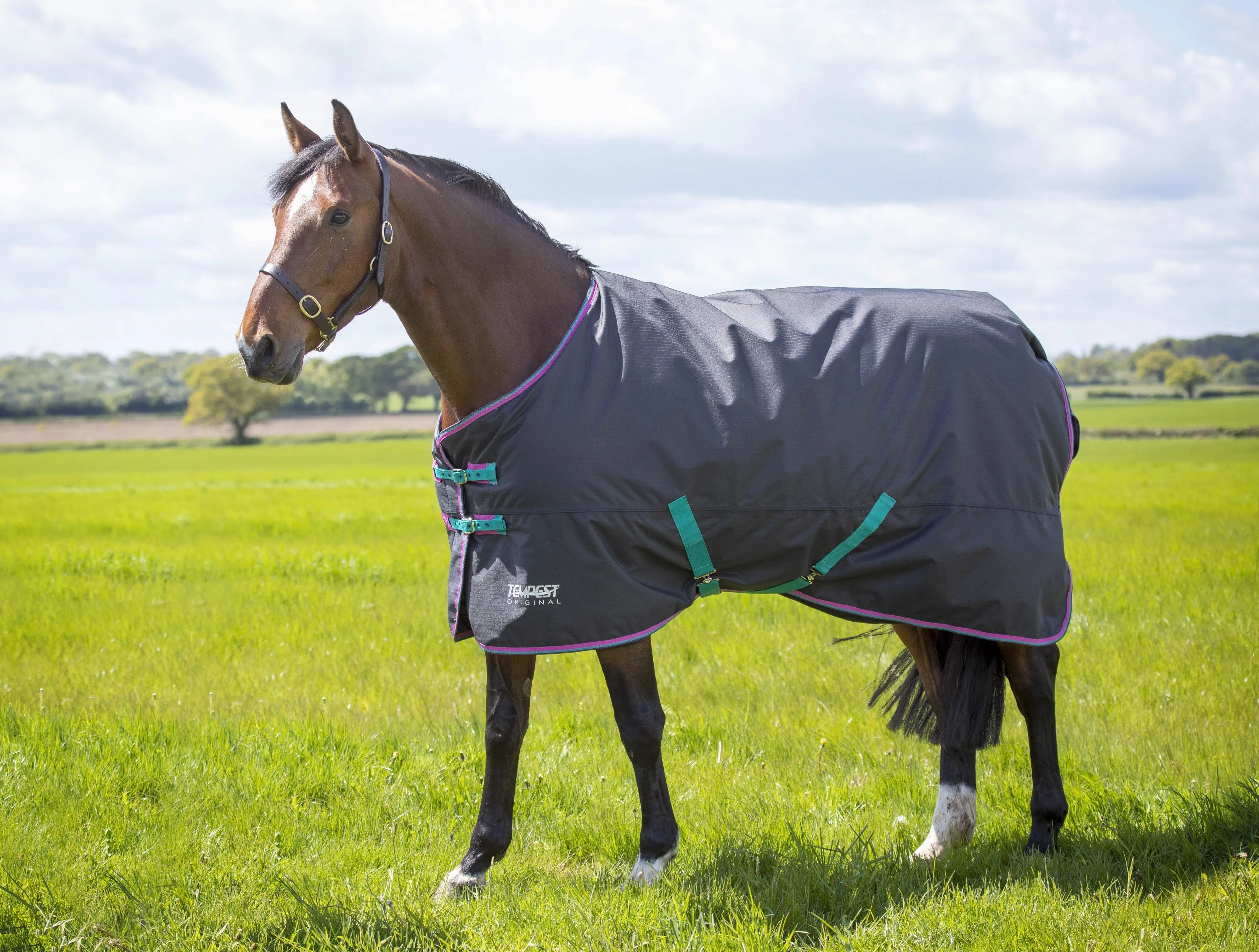 Thumbnail 12